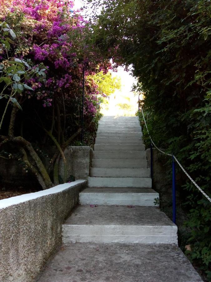 Kaminakia Apartments - Adults Only Policy - Delve Into This Little Oasis Where Peace And Quiet Reign Supreme - Sheltered By An Evergreen Cypress Forest - Offering A Large Swimming Pool Exclusively For Guests' Use And Breathtaking Sea Views From Every Fiskardo Extérieur photo