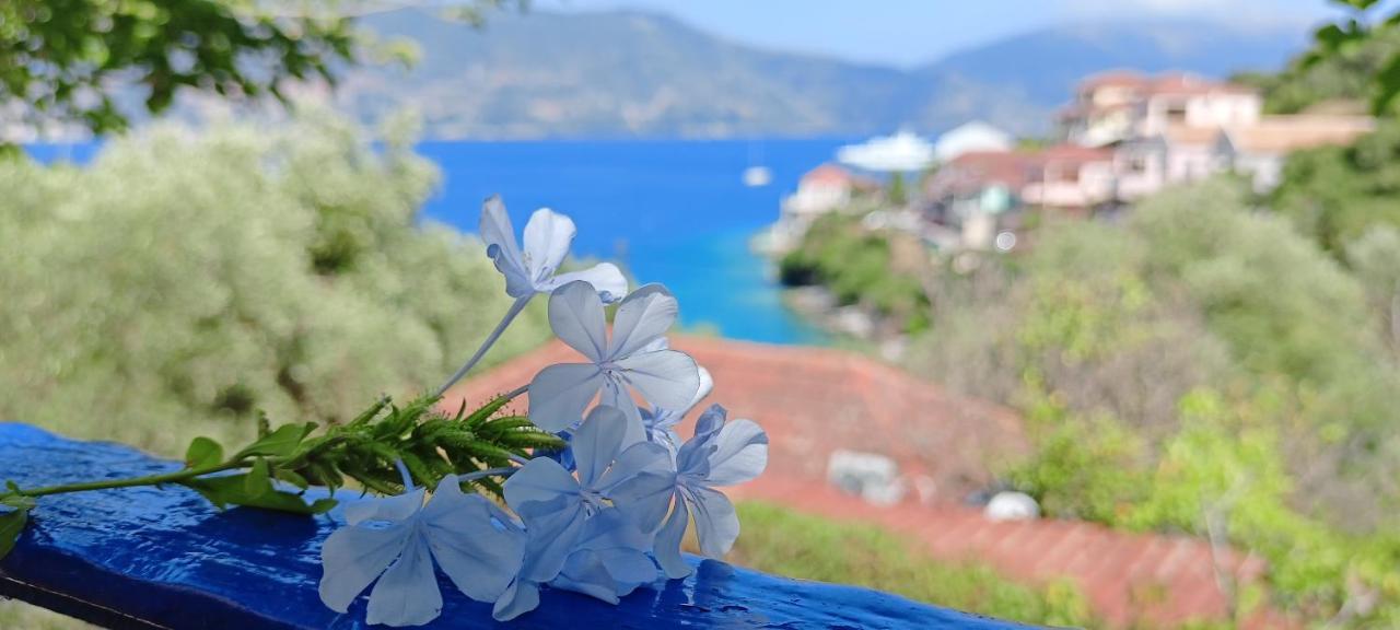 Kaminakia Apartments - Adults Only Policy - Delve Into This Little Oasis Where Peace And Quiet Reign Supreme - Sheltered By An Evergreen Cypress Forest - Offering A Large Swimming Pool Exclusively For Guests' Use And Breathtaking Sea Views From Every Fiskardo Extérieur photo