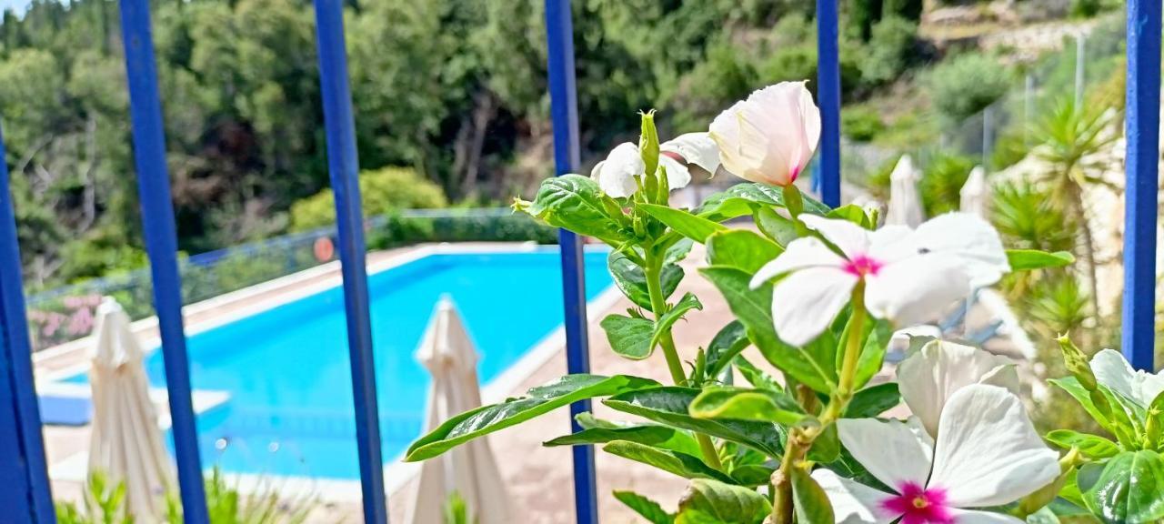 Kaminakia Apartments - Adults Only Policy - Delve Into This Little Oasis Where Peace And Quiet Reign Supreme - Sheltered By An Evergreen Cypress Forest - Offering A Large Swimming Pool Exclusively For Guests' Use And Breathtaking Sea Views From Every Fiskardo Extérieur photo