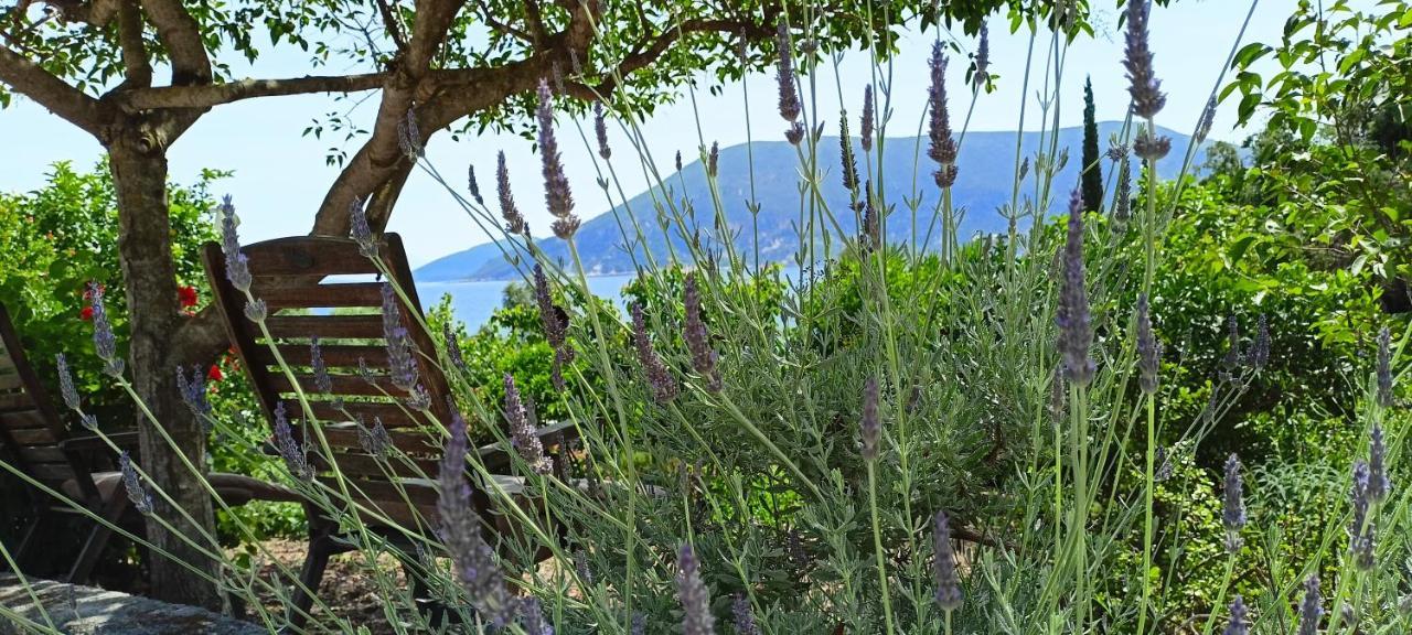 Kaminakia Apartments - Adults Only Policy - Delve Into This Little Oasis Where Peace And Quiet Reign Supreme - Sheltered By An Evergreen Cypress Forest - Offering A Large Swimming Pool Exclusively For Guests' Use And Breathtaking Sea Views From Every Fiskardo Extérieur photo