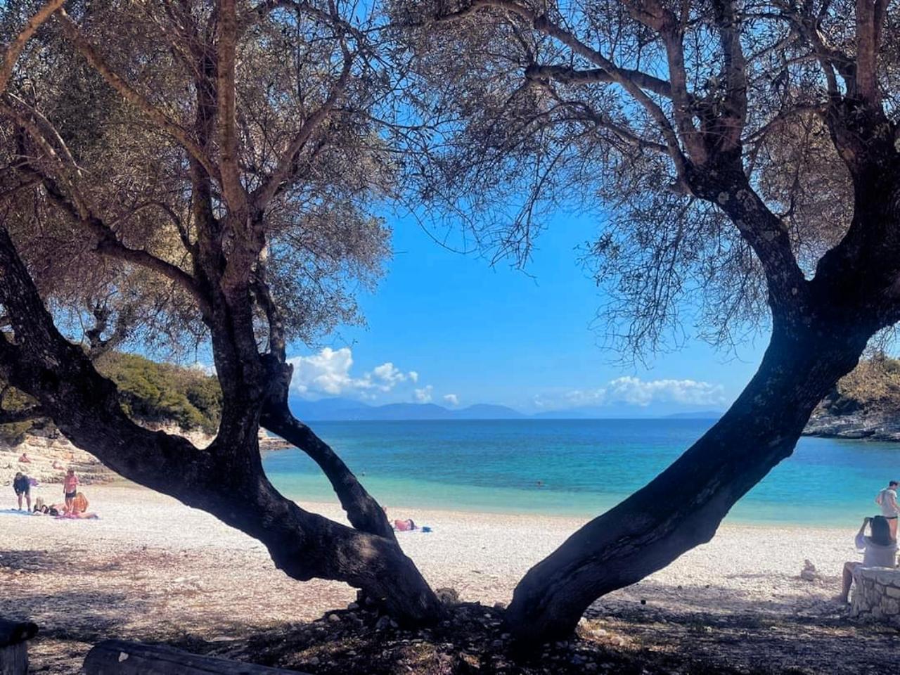 Kaminakia Apartments - Adults Only Policy - Delve Into This Little Oasis Where Peace And Quiet Reign Supreme - Sheltered By An Evergreen Cypress Forest - Offering A Large Swimming Pool Exclusively For Guests' Use And Breathtaking Sea Views From Every Fiskardo Extérieur photo